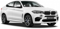 Диски для BMW X6 M  F86 2015–2019