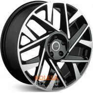 Lizardo 0113 Lizardo 0113