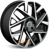 Lizardo 113 Lizardo 113