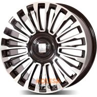 Lizardo XH593 Lizardo XH593