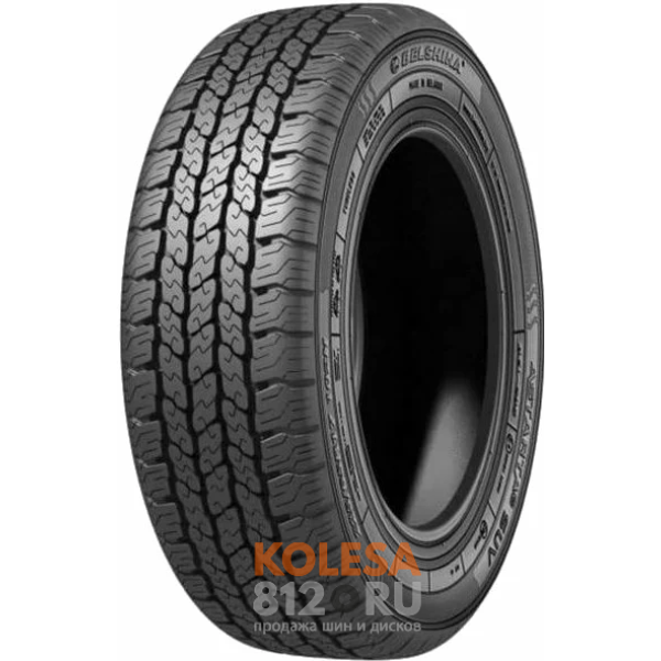  Белшина Бел-295 - основное изображение