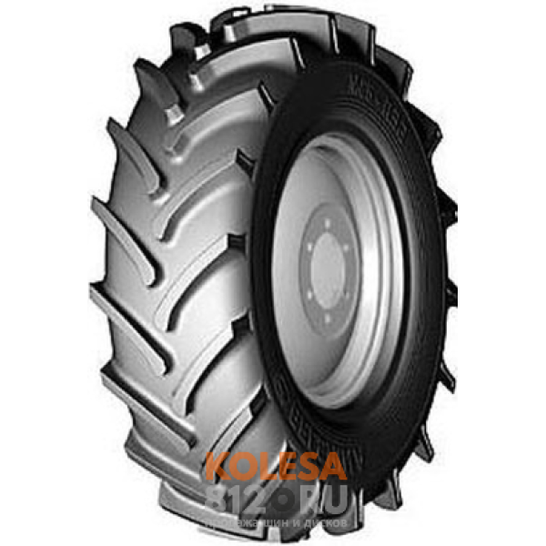 Белшина Бел-83М - основное изображение Белшина Бел-83М - основное изображение