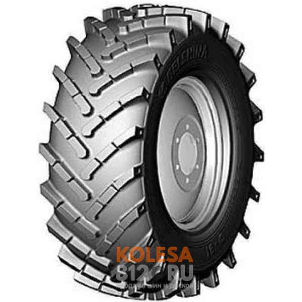 Белшина Ф-81 - основное изображение Белшина Ф-81 - основное изображение