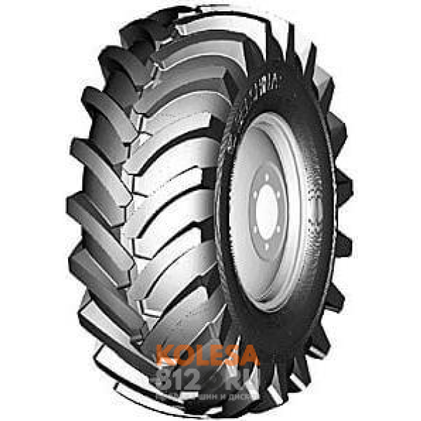  Белшина ИЯВ-79 - основное изображение