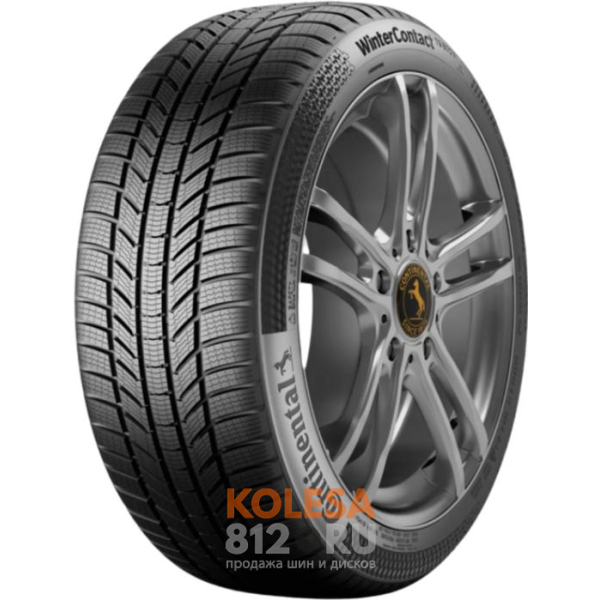 Шины Continental ContiWinterContact TS 870 P Elect - основное изображение