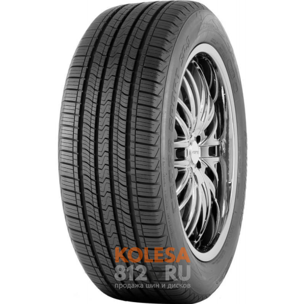 Шины Nankang SP9