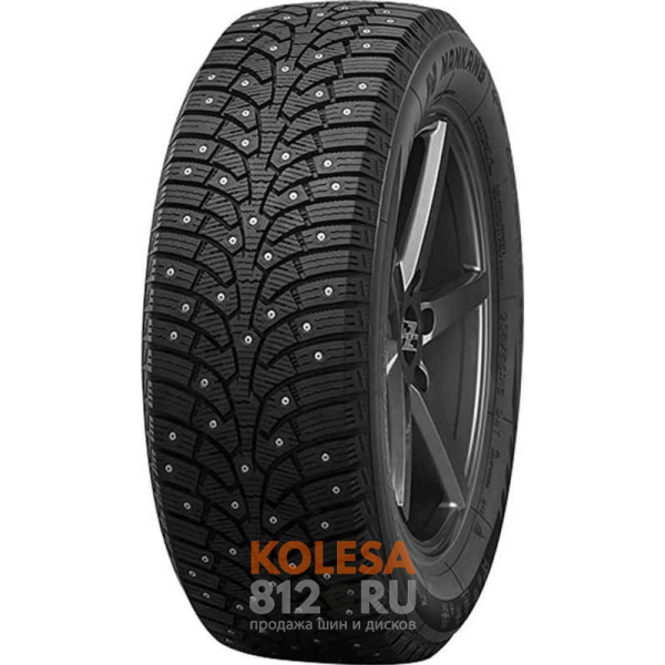 Шины Nankang SW9