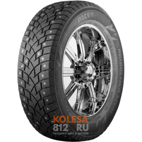 Pace Antarctica Sport - основное изображение Pace Antarctica Sport - основное изображение