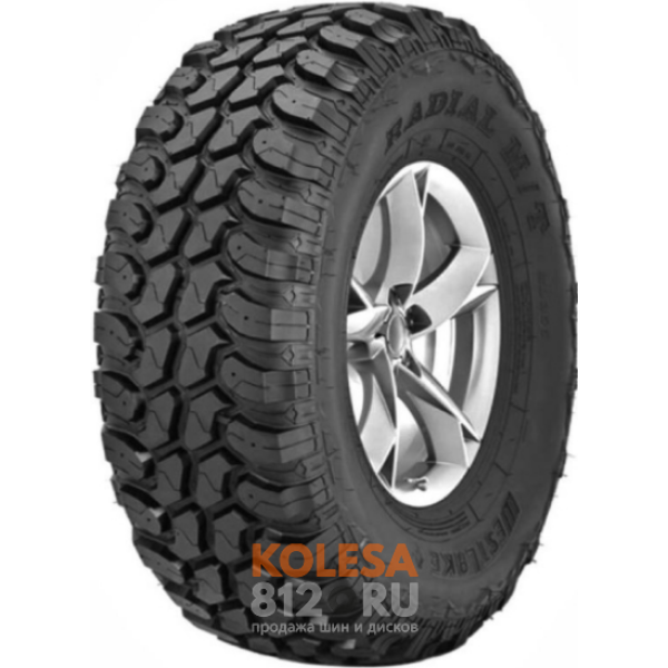  WestLake Radial M/T SL366 - основное изображение