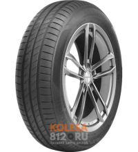 Altenzo Sports Equator III