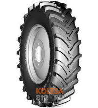 Белшина Ф-11