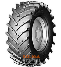 Белшина Ф-81