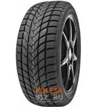 Delinte Winter WD6