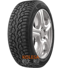 ILINK Wintervorhut Stud I ILINK Wintervorhut Stud I