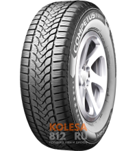 Lassa Competus Winter 2 +