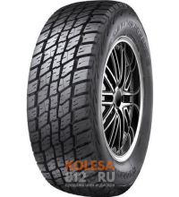 Marshal Road Venture AT61