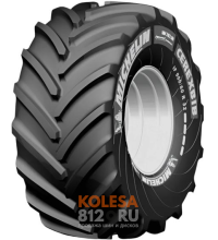 Michelin CereXbib CFO