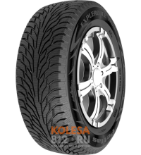 Petlas Explero Ice W681