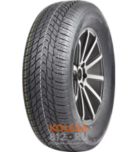 ROYAL BLACK Royal Winter HP ROYAL BLACK Royal Winter HP