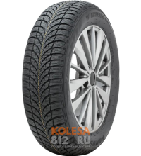 Roadstone Winguard Snow G WH2