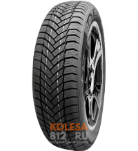 Rotalla Setula W-Race S130